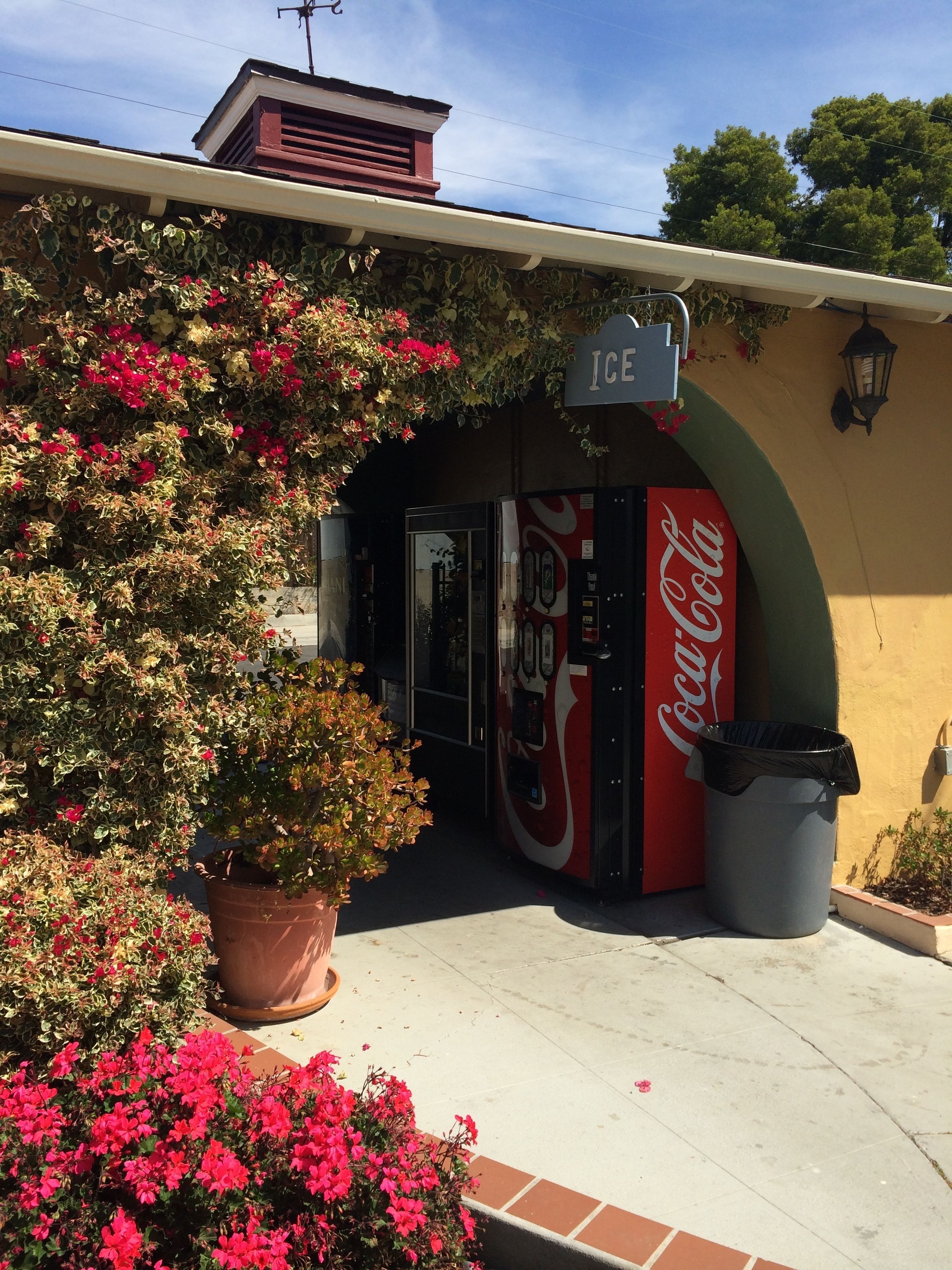 Foto - Oasis Inn and Suites