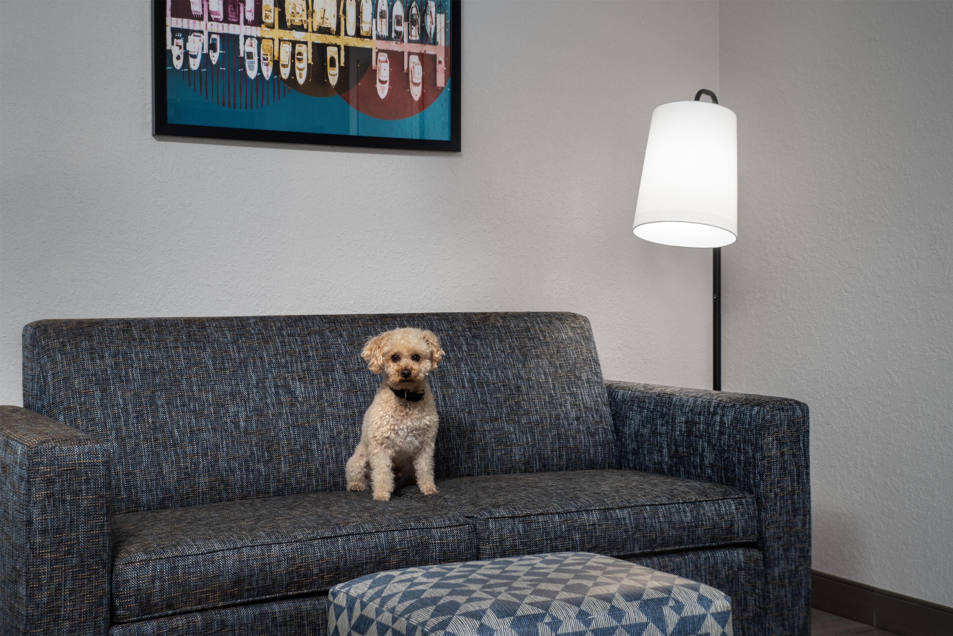 Foto - Home2 Suites by Hilton Florida City, FL
