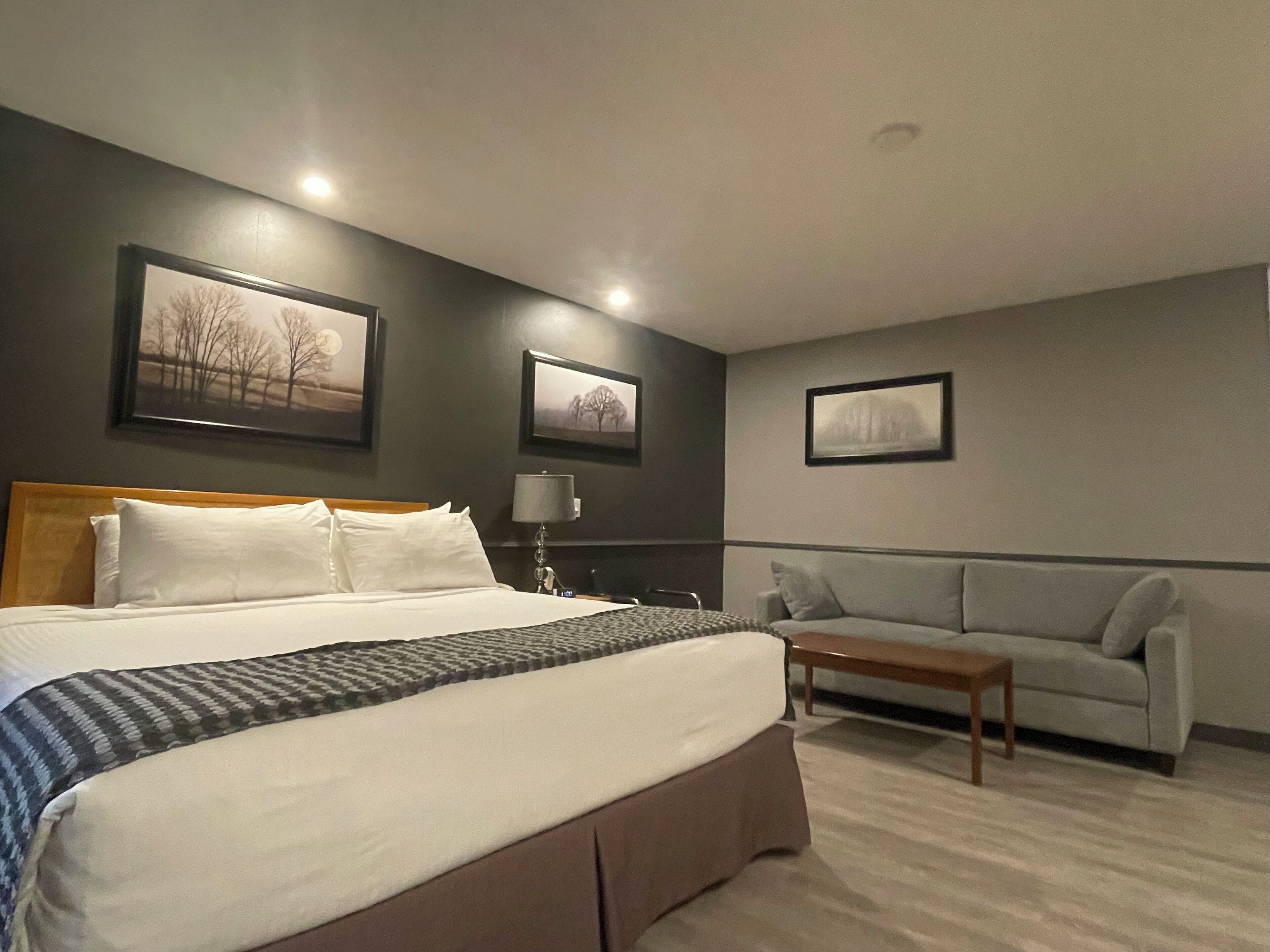 Room, 1 King Bed, Non Smoking (Exterior Entrance)