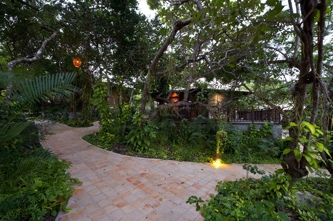 Foto - Sombra e Água Fresca Floresta