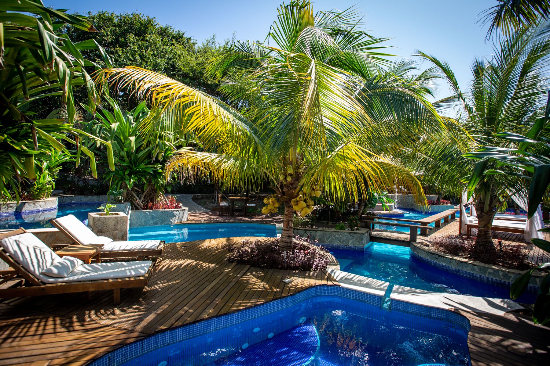 Un área de piscina con muelle de madera, sillas de descanso y plantas tropicales.