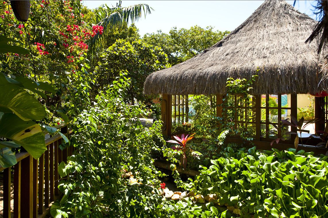 Foto - Sombra e Água Fresca Floresta