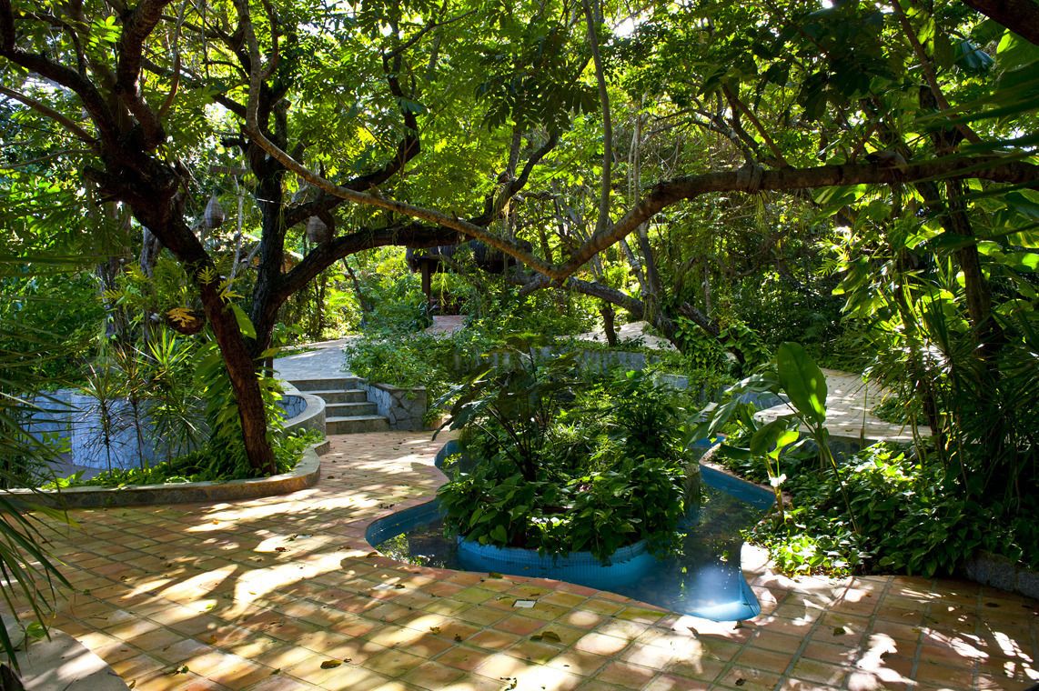 Photo - Sombra e Água Fresca Floresta