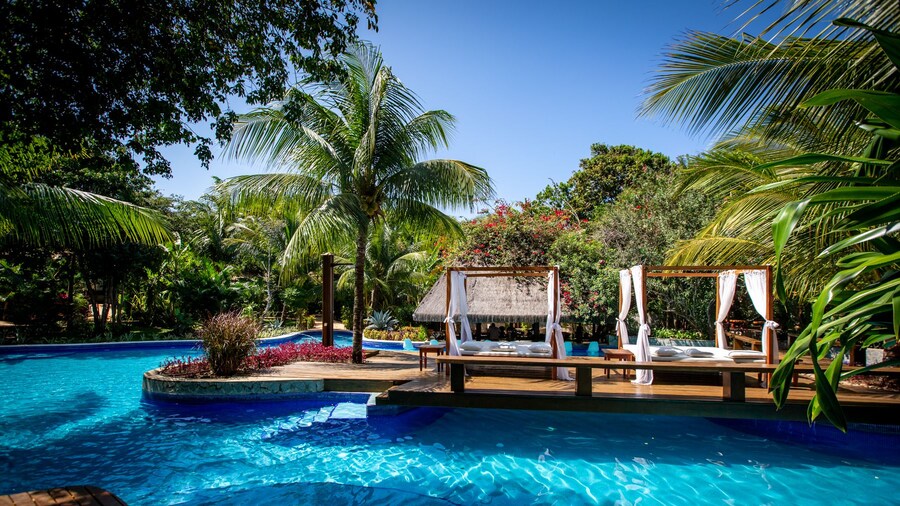 Sombra e Agua Fresca Floresta