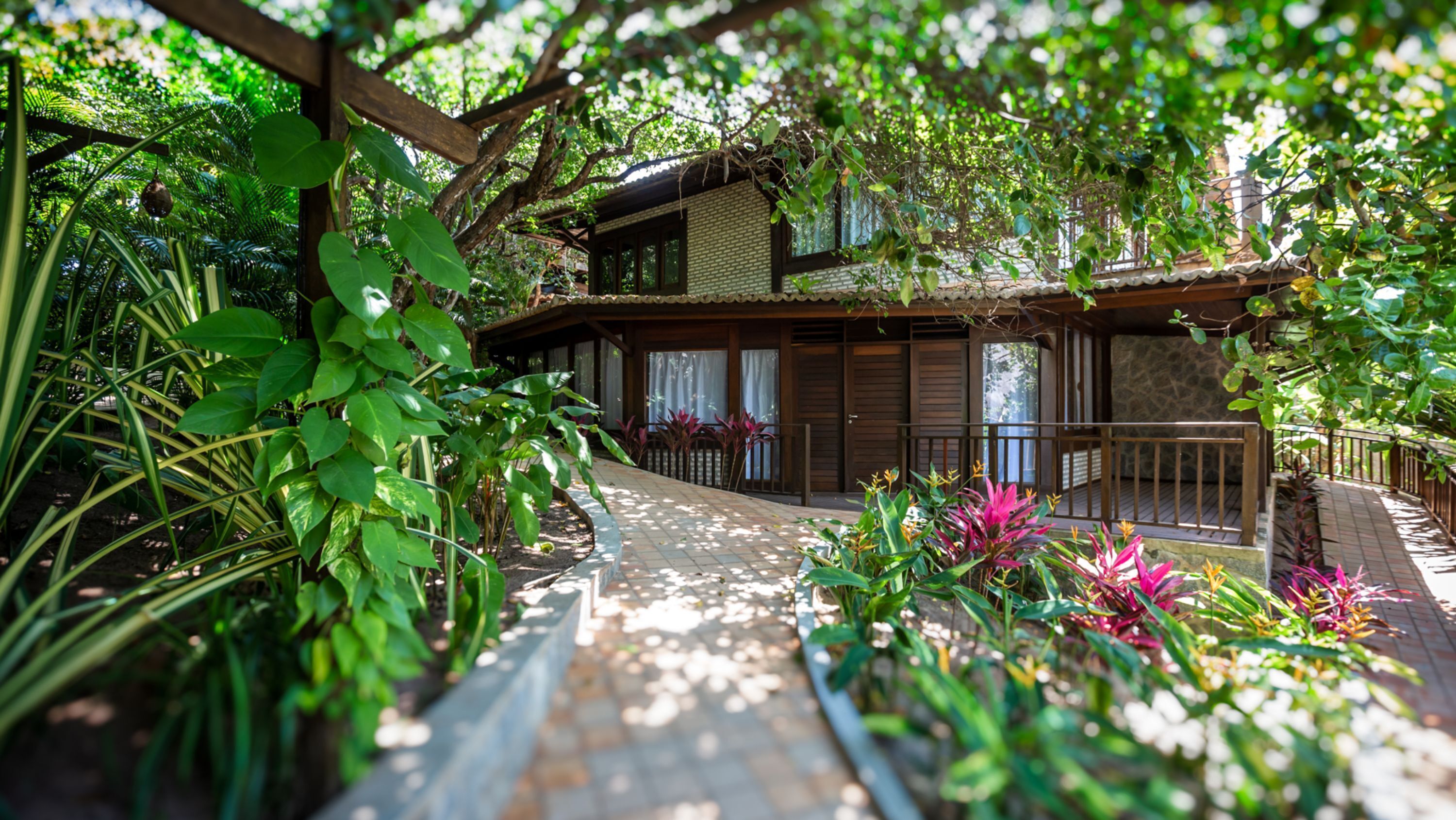 Foto - Sombra e Água Fresca Floresta