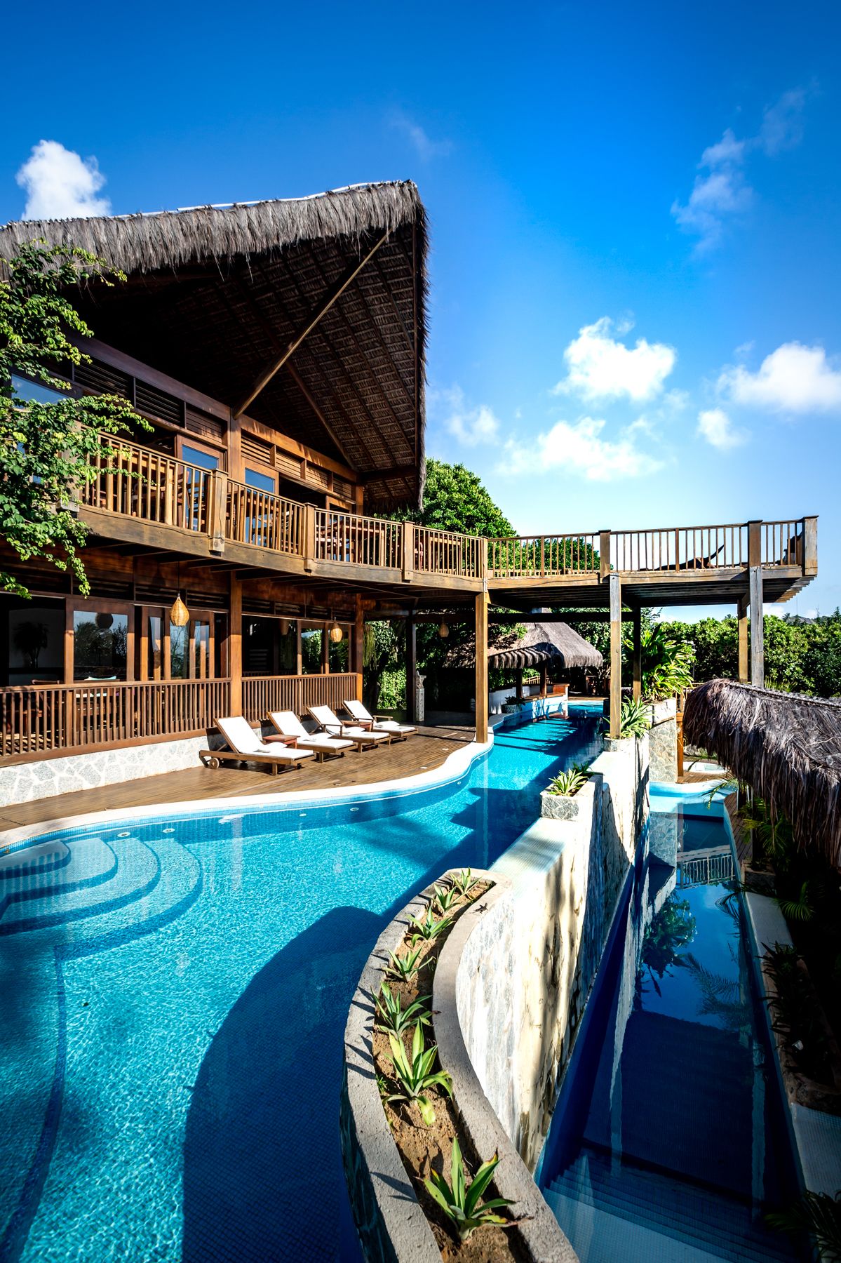 Foto - Sombra e Água Fresca Floresta