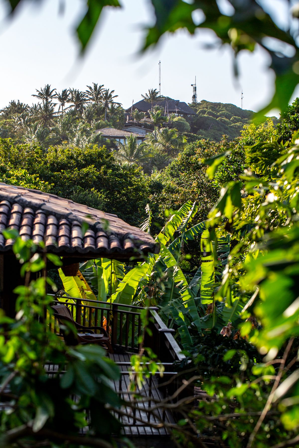 Un entorno tropical con una casa rodeada de vegetación densa, incluyendo plataneros y palmeras.