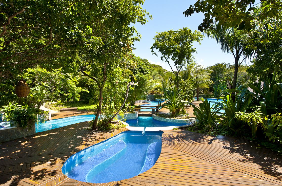 Um deck de madeira com piscina e vegetação exuberante ao redor.