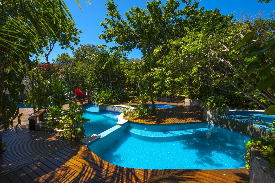 Una piscina con cubierta de madera y abundante vegetación alrededor.