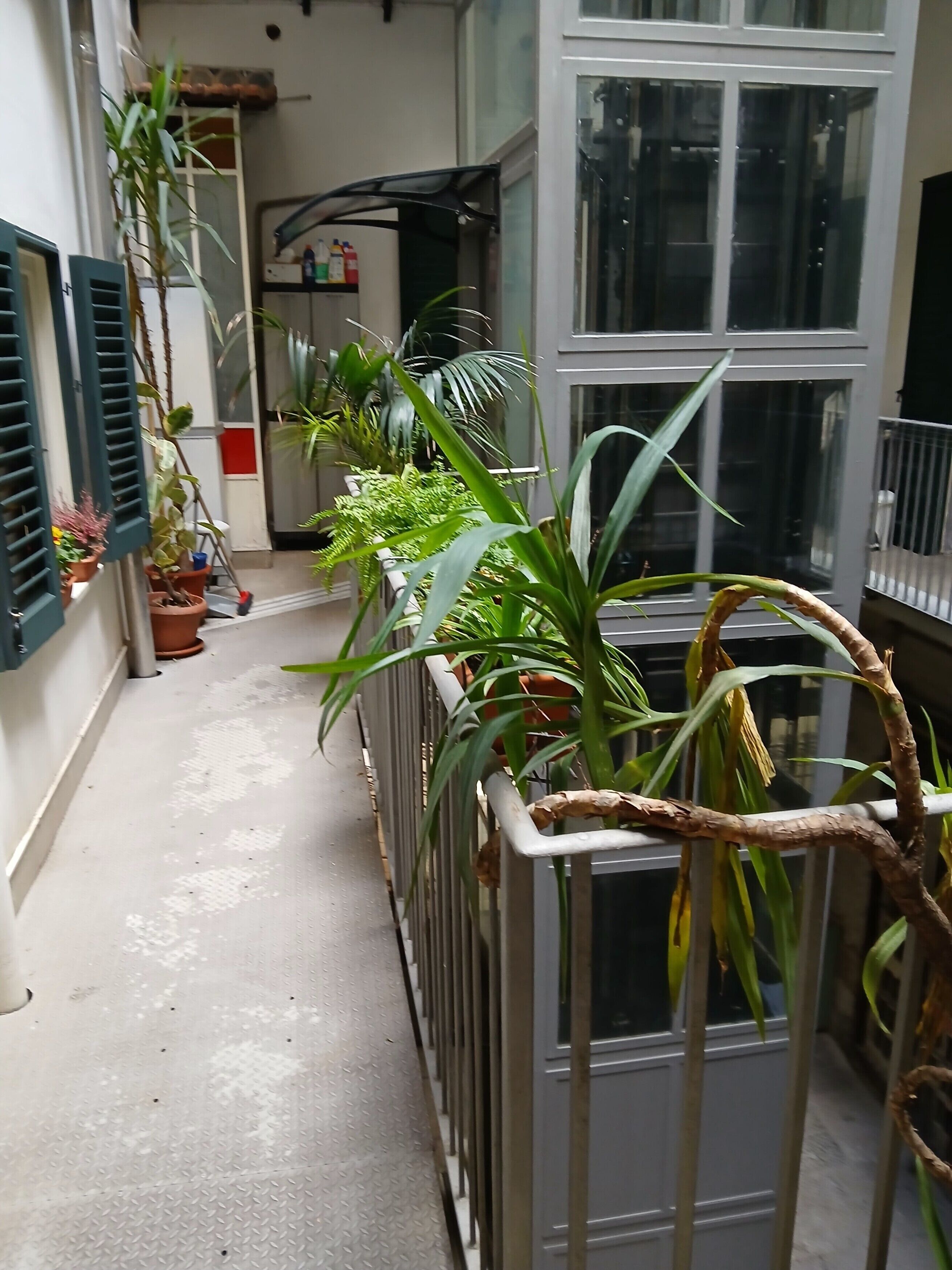 Foto - B&B Casa Degli Artisti