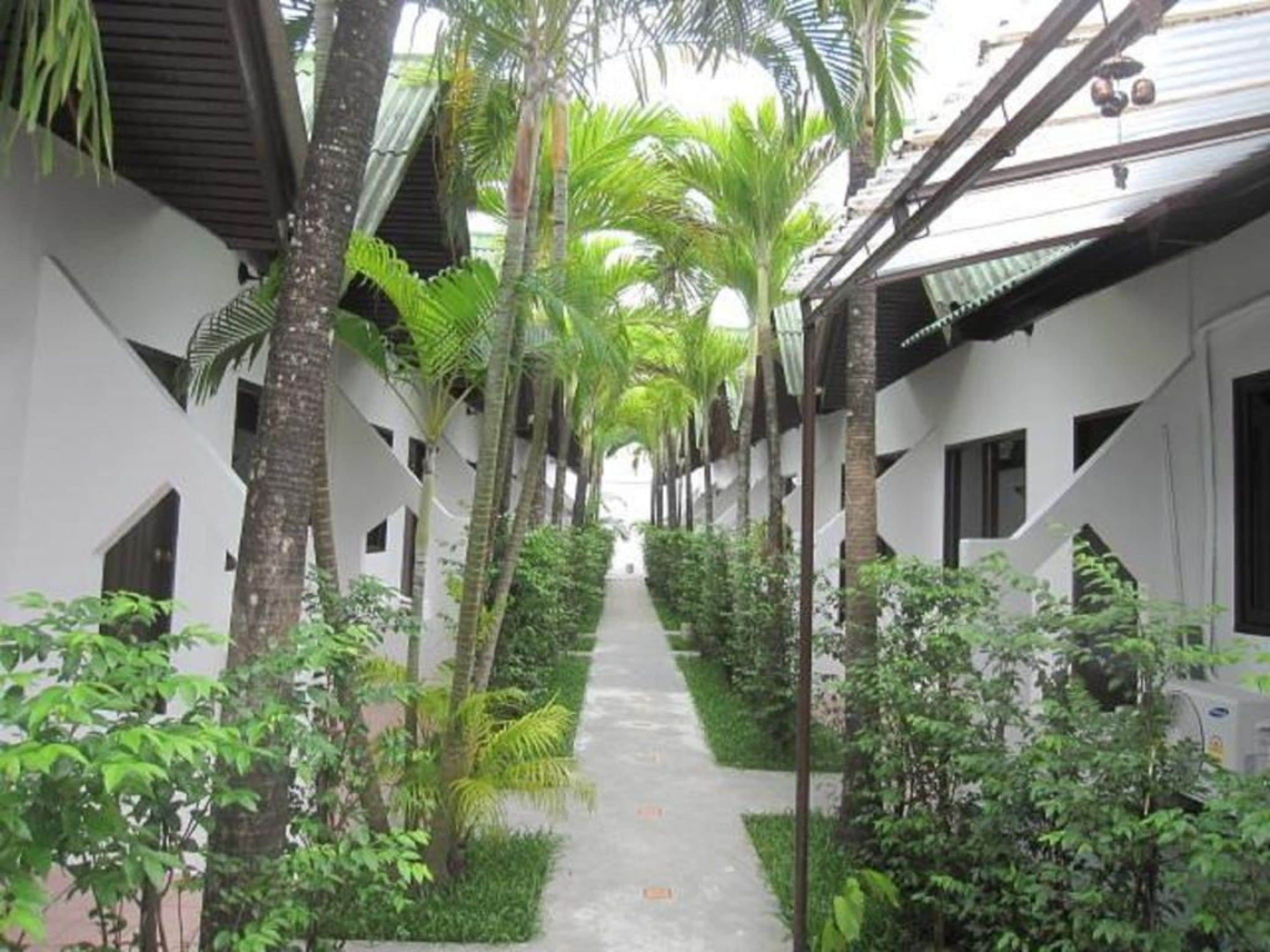 A corridor lined with palm trees and greenery, leading to a building with a modern architectural design.