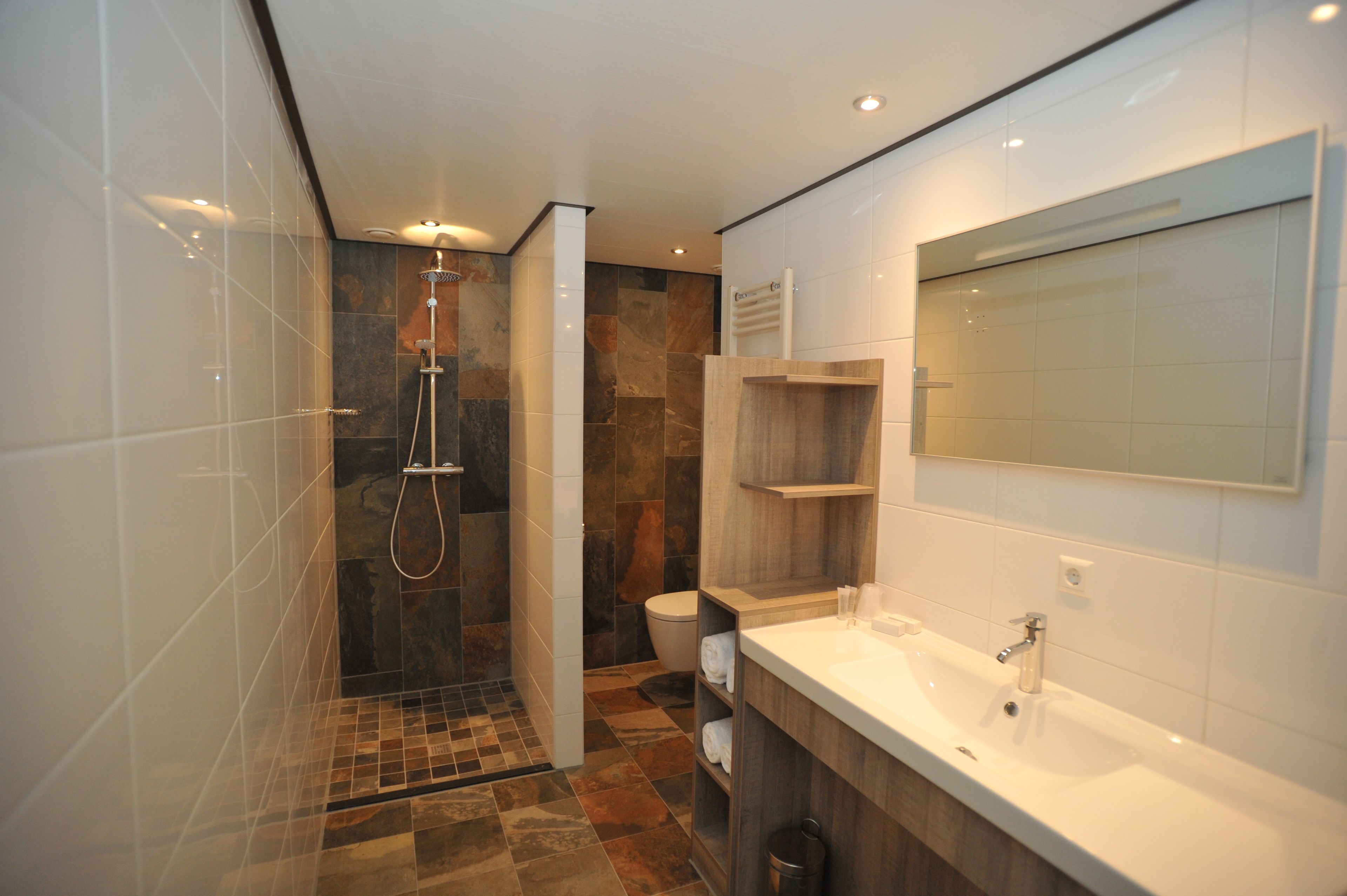 budget kamer met beperkt uitzicht | bathroom | shower, rainfall showerhead, free toiletries, hair dryer