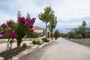 Áreas de la propiedad