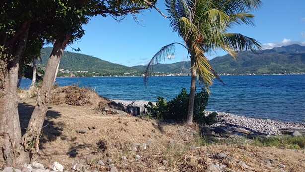 A coastal landscape with a rocky shoreline, a palm tree, and a view of a distant town across a body of water. - Aanola Villas (Castries)