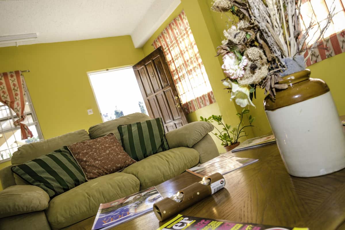 A living room with a green sofa, a wooden coffee table, and a vase with dried flowers.