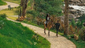 A paved pathway, a horse, and a person leading the horse.