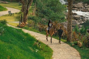 A paved pathway, a horse, and a person leading the horse.