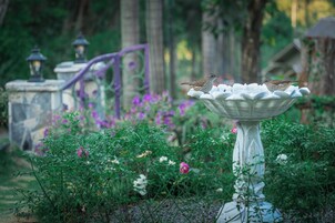 A birdbath with two birds, surrounded by greenery and purple flowers.