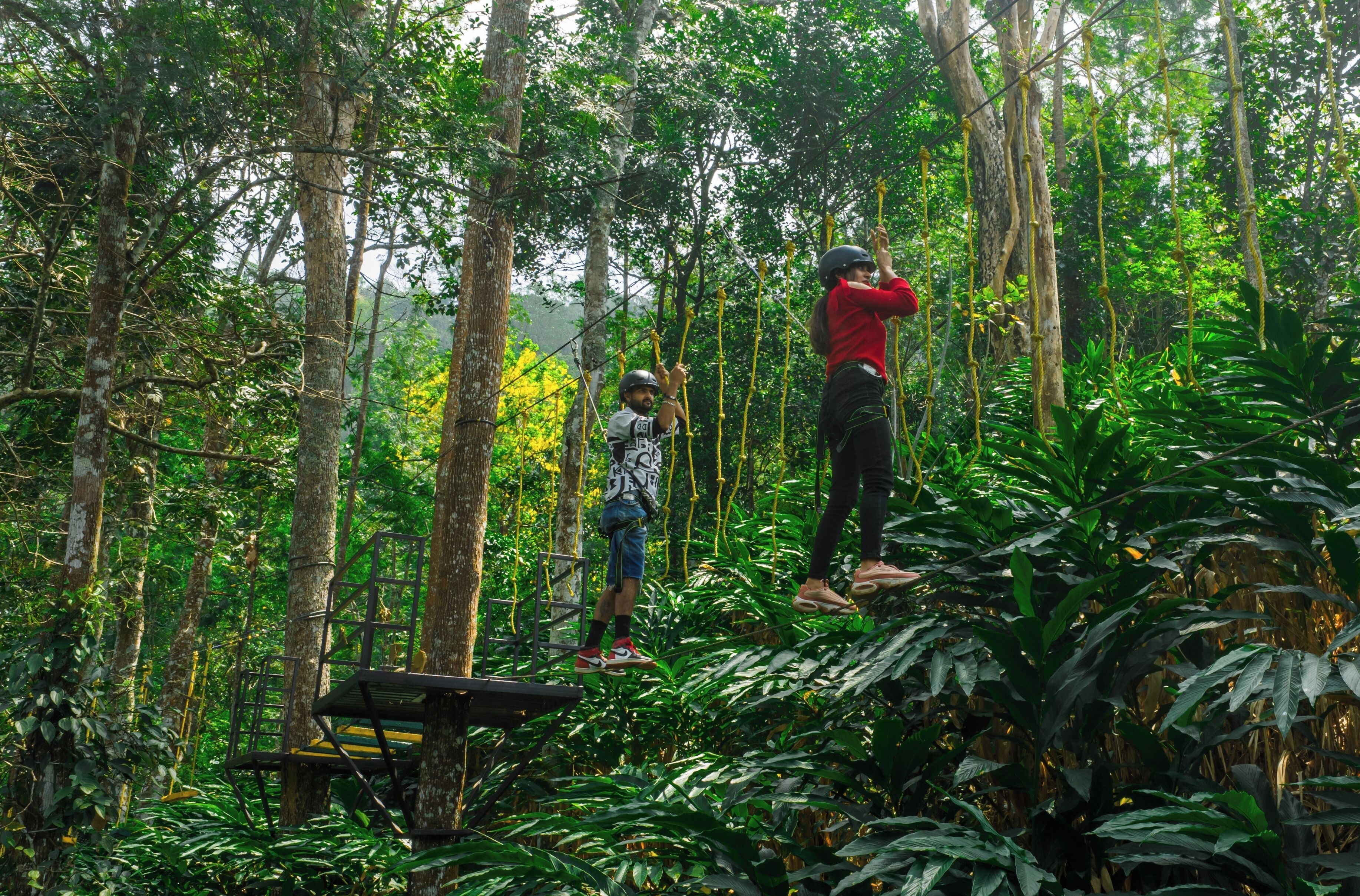 Deux personnes se trouvent sur une plateforme en bois, au milieu d’une forêt, et sont équipées de cordes. Elles sont entourées d’une végétation luxuriante.