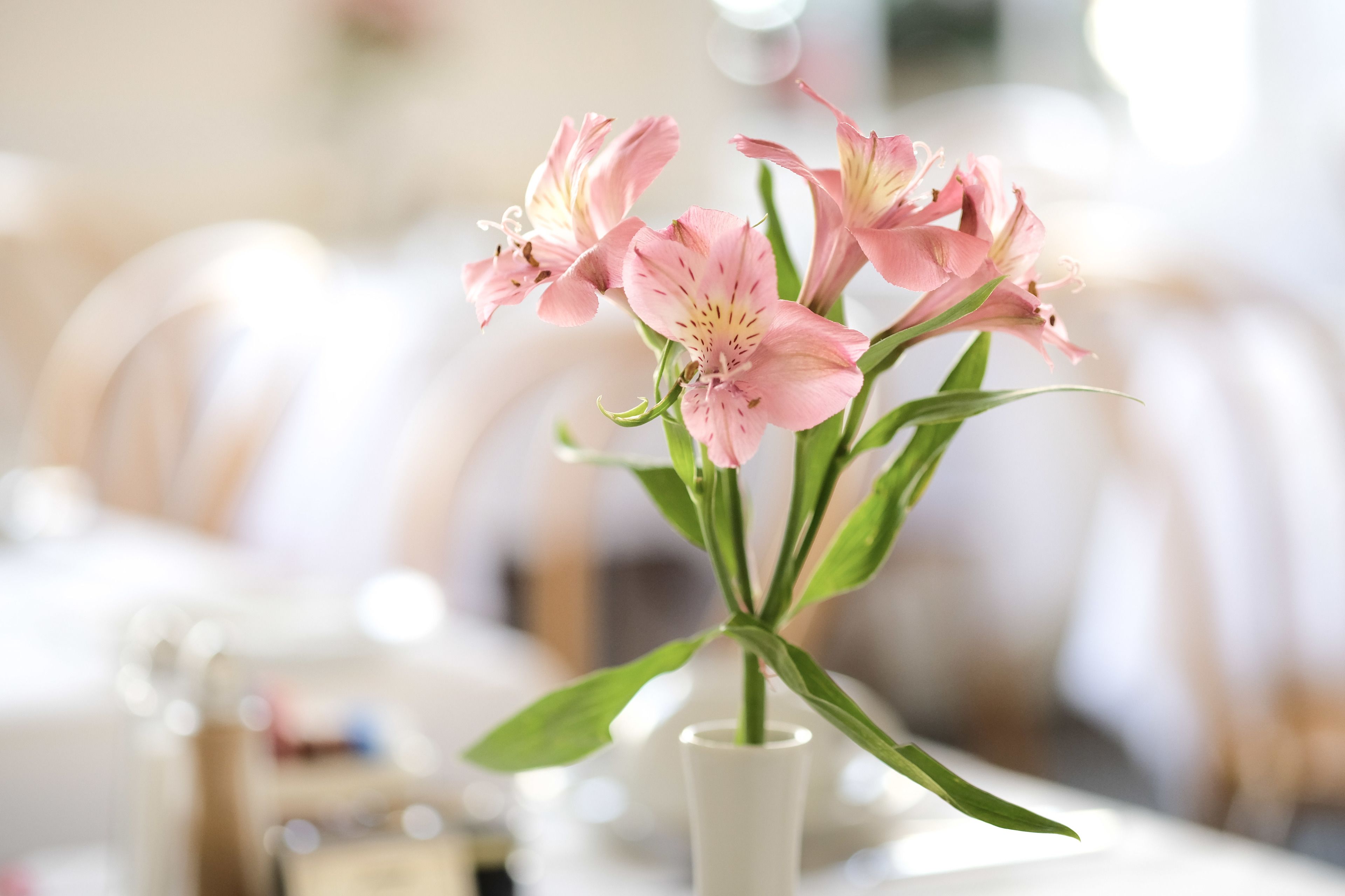 Foto - Edgar Townhouse