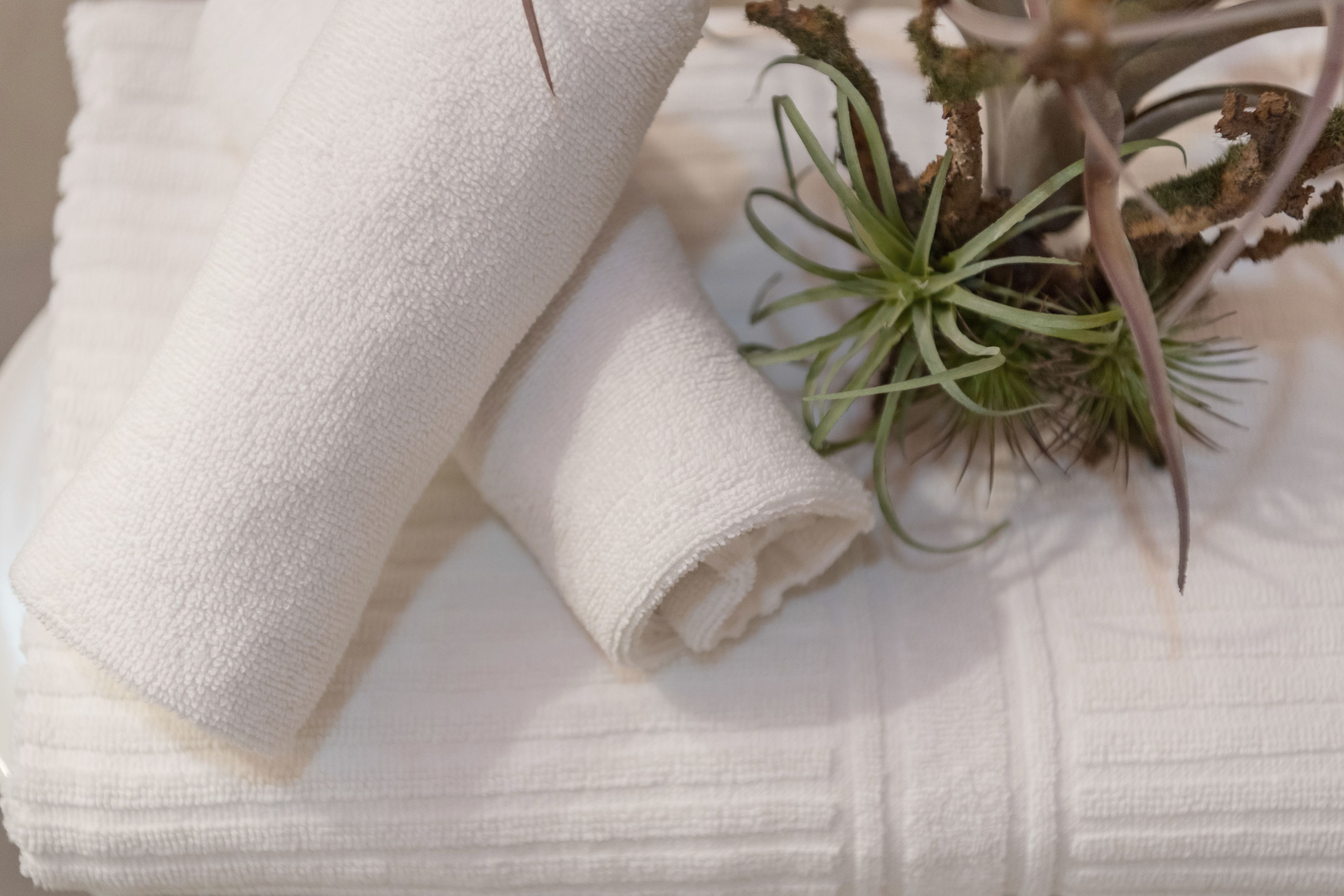 free toiletries, hair dryer, slippers, towels