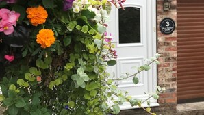 A hanging flower basket with a variety of flowers in front of a brick building with a white door and a brown shutter. A sign with the number "3" is visible on the wall.
