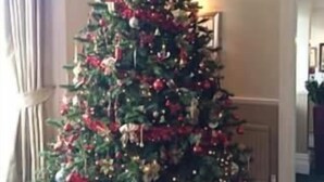 A Christmas tree in a room with a green carpet and a curtain on the left.