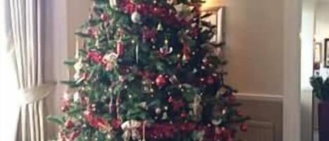 A Christmas tree in a room with a green carpet and a curtain on the left.