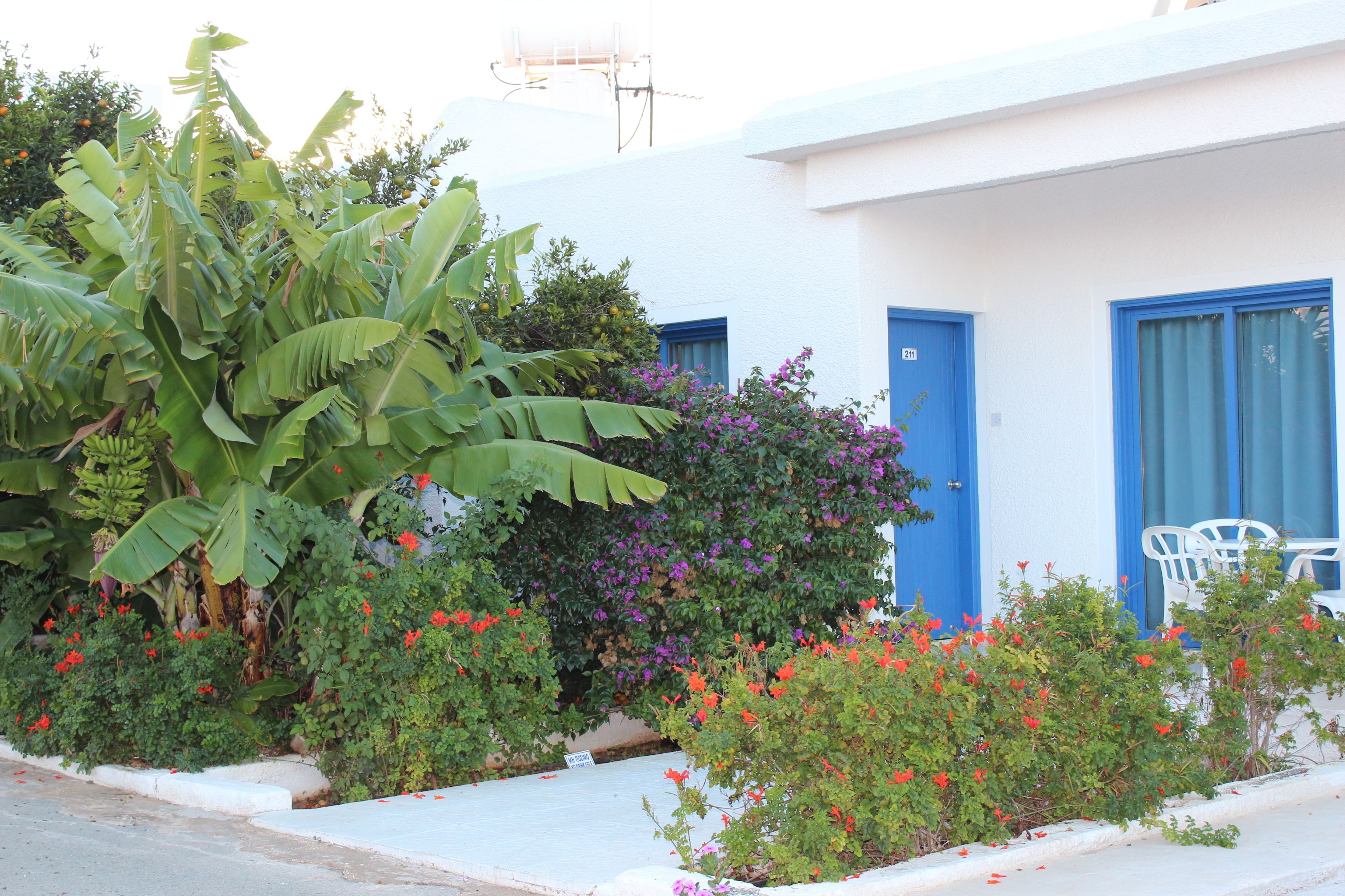 A white building with blue doors and windows, surrounded by lush greenery and flowering plants.