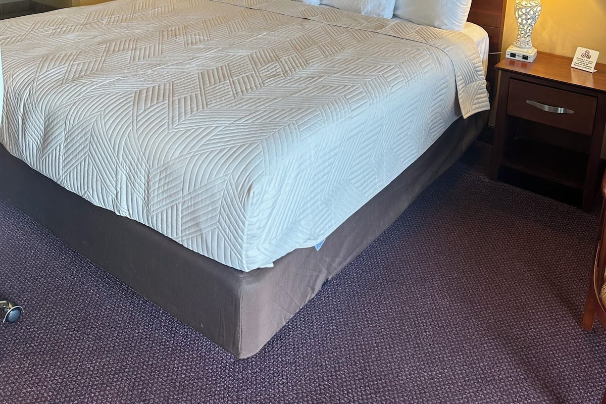 办公桌、熨斗/熨衣板、免费 WiFi、床单