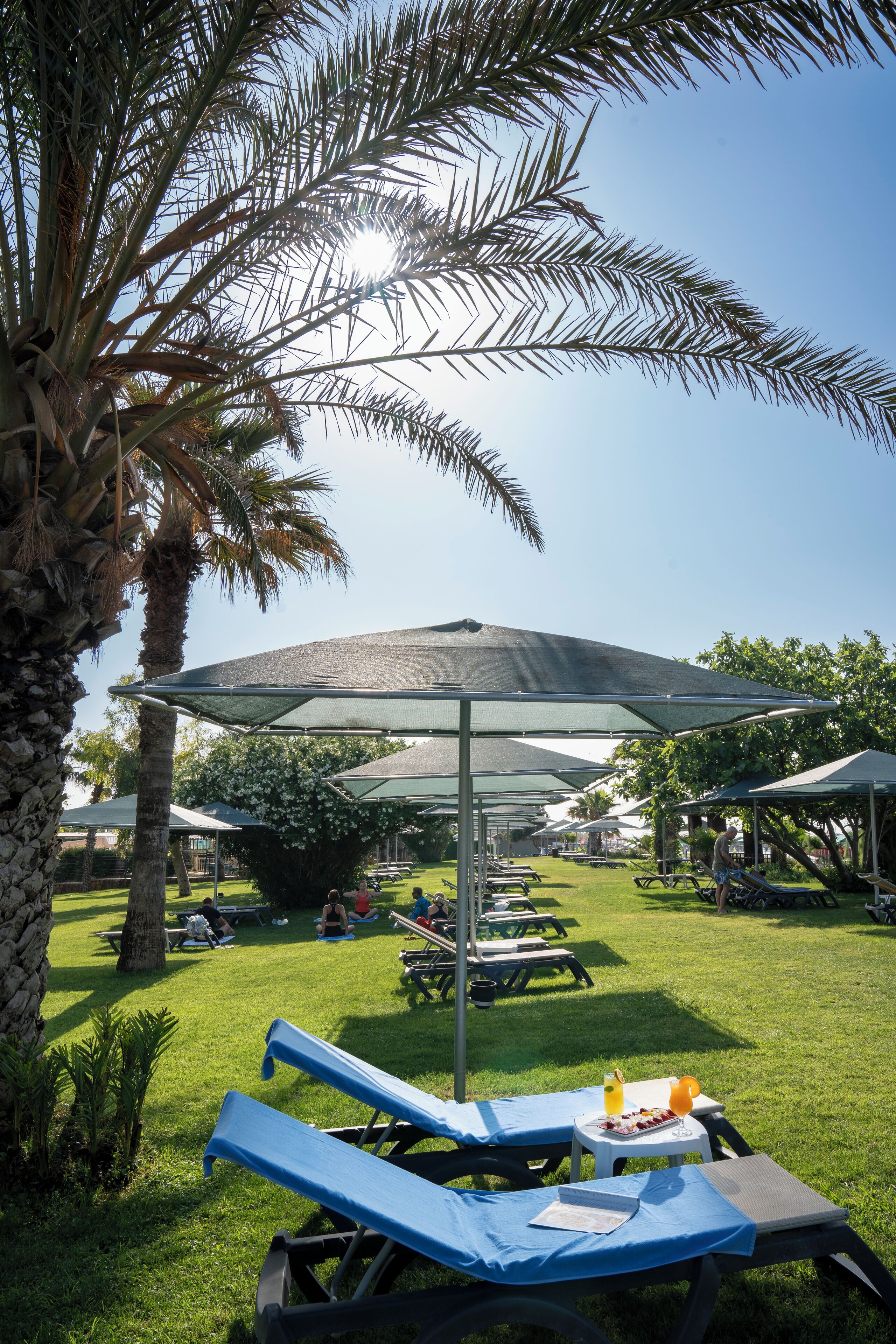 Un espacio al aire libre soleado con palmeras, mesas de picnic y sillones de descanso bajo un gran paraguas.