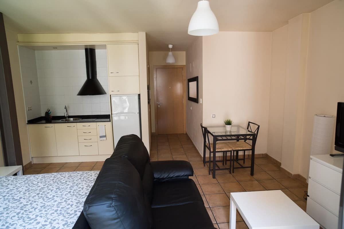 A compact living space with a kitchenette, a dining area, and a seating area with a sofa and a table.