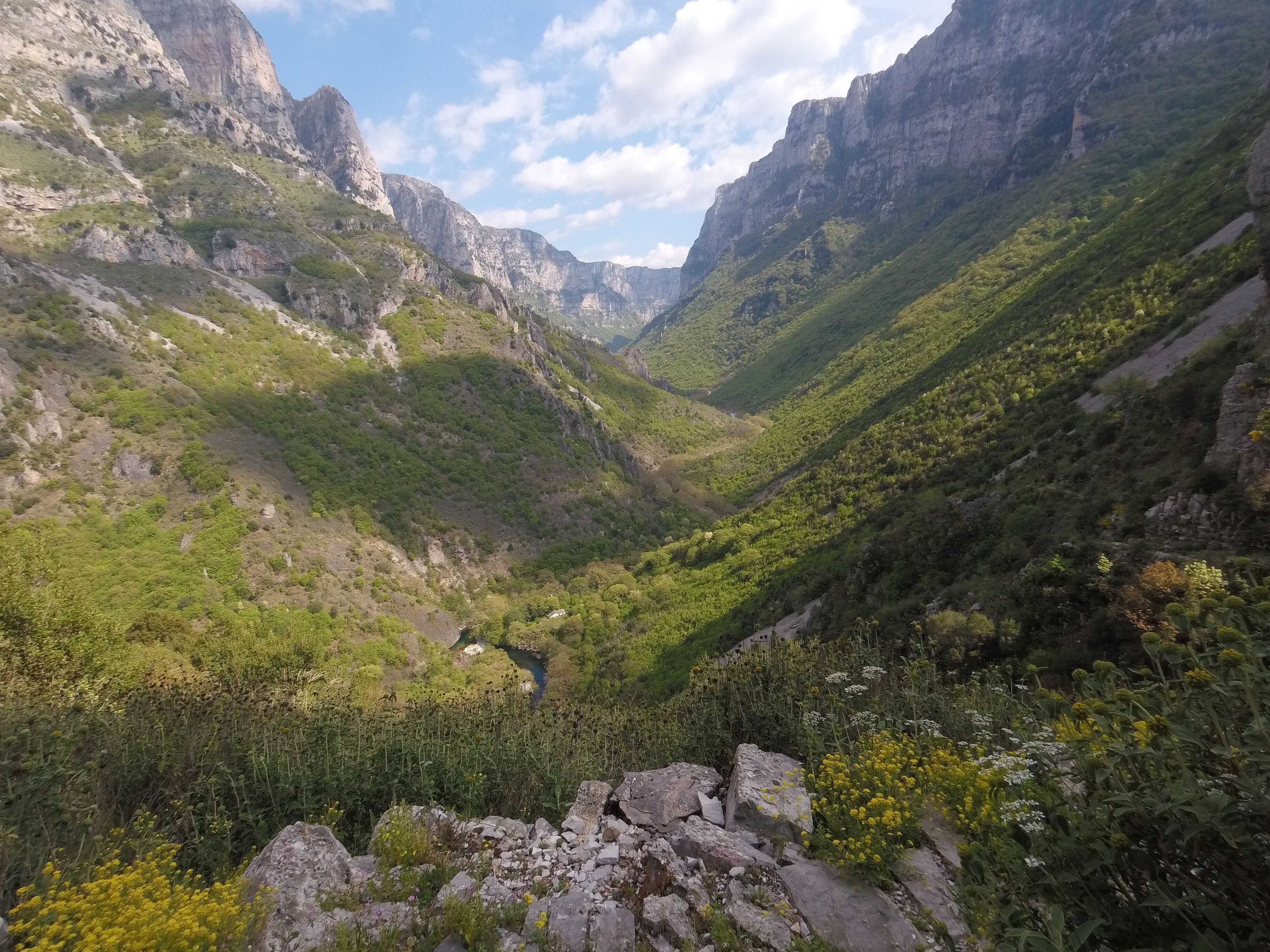 Un paysage montagneux comprenant une vallée, un terrain rocheux et une végétation dense.