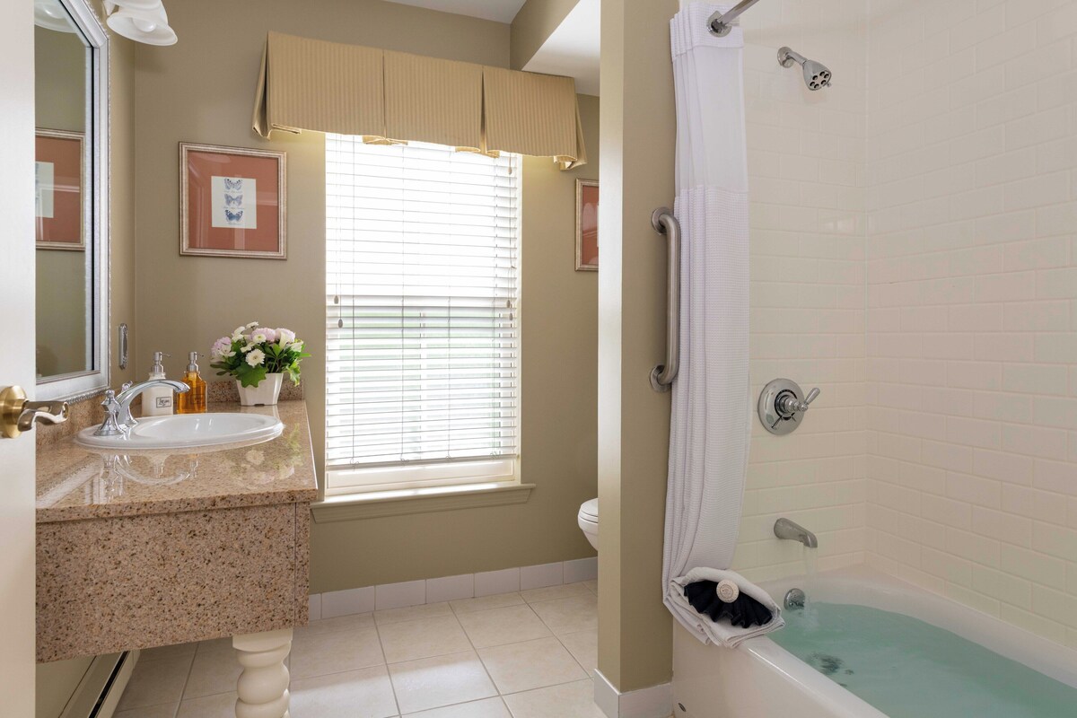 Combined shower/tub, free toiletries, hair dryer, towels