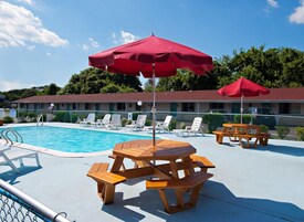 Una piscina al aire libre, sombrillas, sillones reclinables de piscina