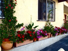 Jardín