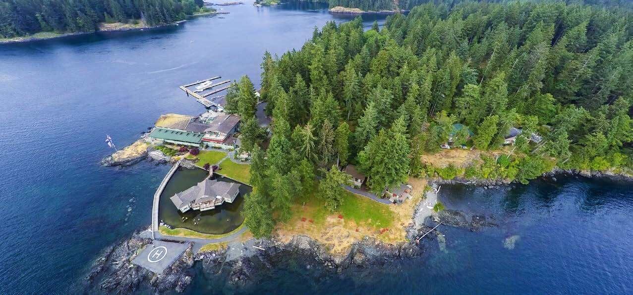 An aerial view of a small island with a dock, a building with a green roof, and dense forestation.