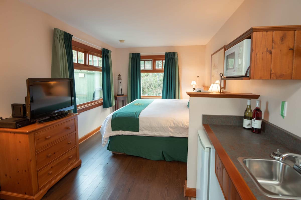 A bedroom with a bed, a television, a dresser, a window with curtains, and a kitchen area with a sink and wine bottles.