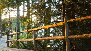 A wooden bridge with railings, surrounded by dense trees and greenery. - April Point Resort  (Quadra Island)