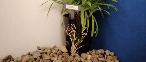 A potted plant with a label in a corner with decorative wall panels and a blue wall.