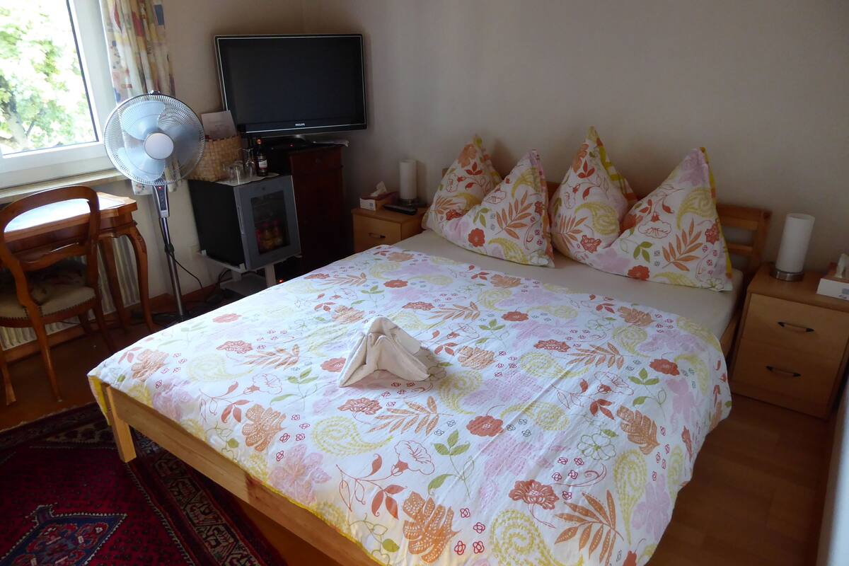 A bedroom with a bed, a desk, a chair, a television, a fan, and a nightstand.