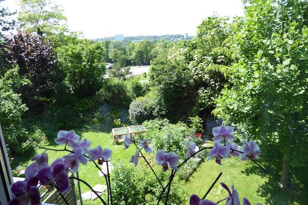 View from room