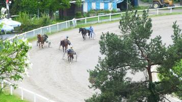 Una pista de carreras de caballos con caballos y jockeys en movimiento, rodeada de follaje y un edificio azul.