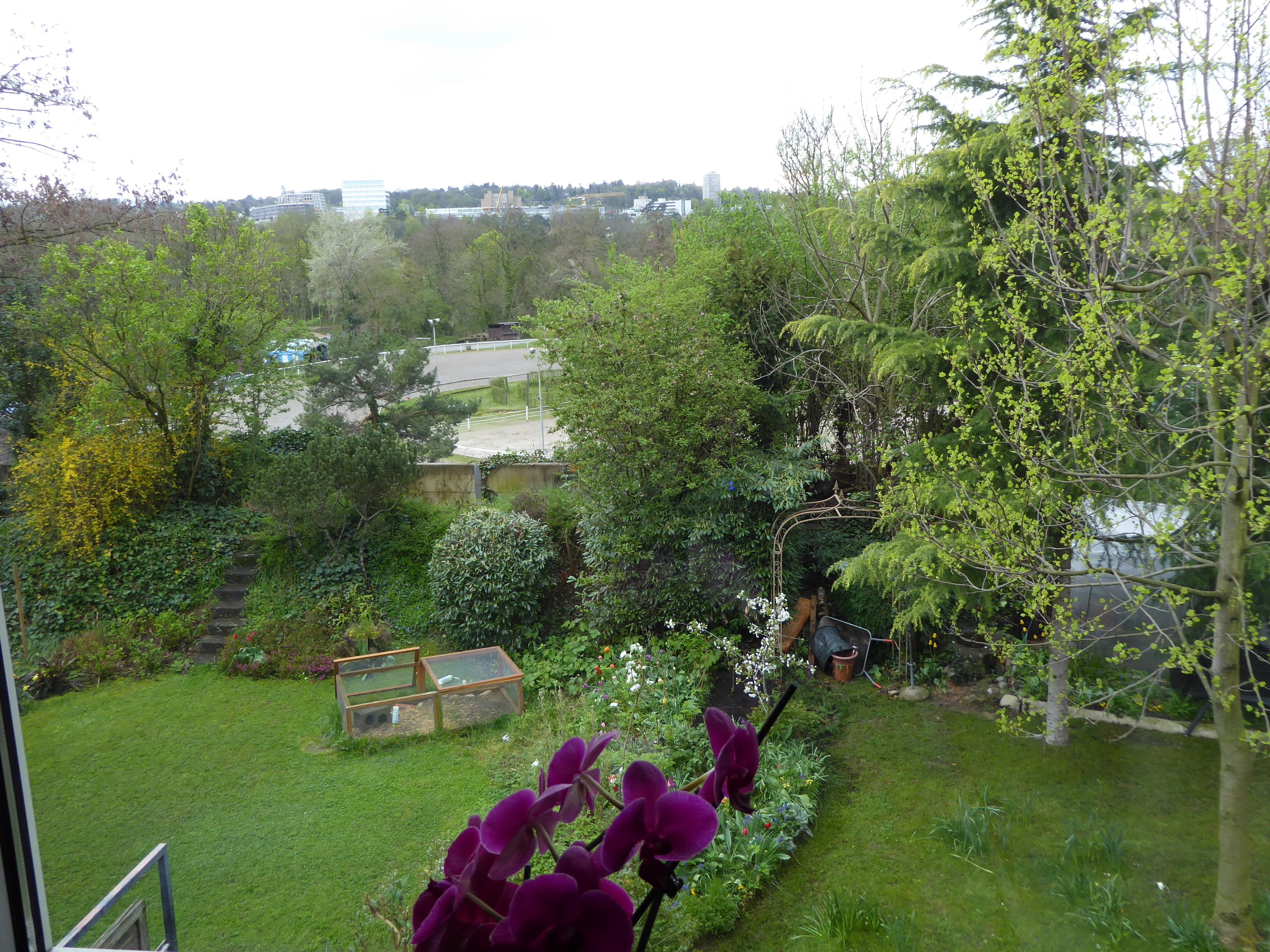 Un jardin où l’on trouve une variété de plantes et de fleurs, un banc en bois et un petit étang.