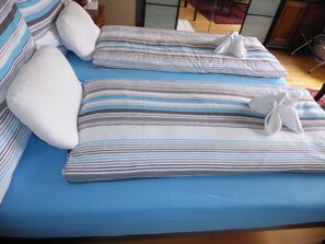 Camera doppia, bagno condiviso (Balcony) | Minibar (con alcuni snack e alcune bevande gratis)