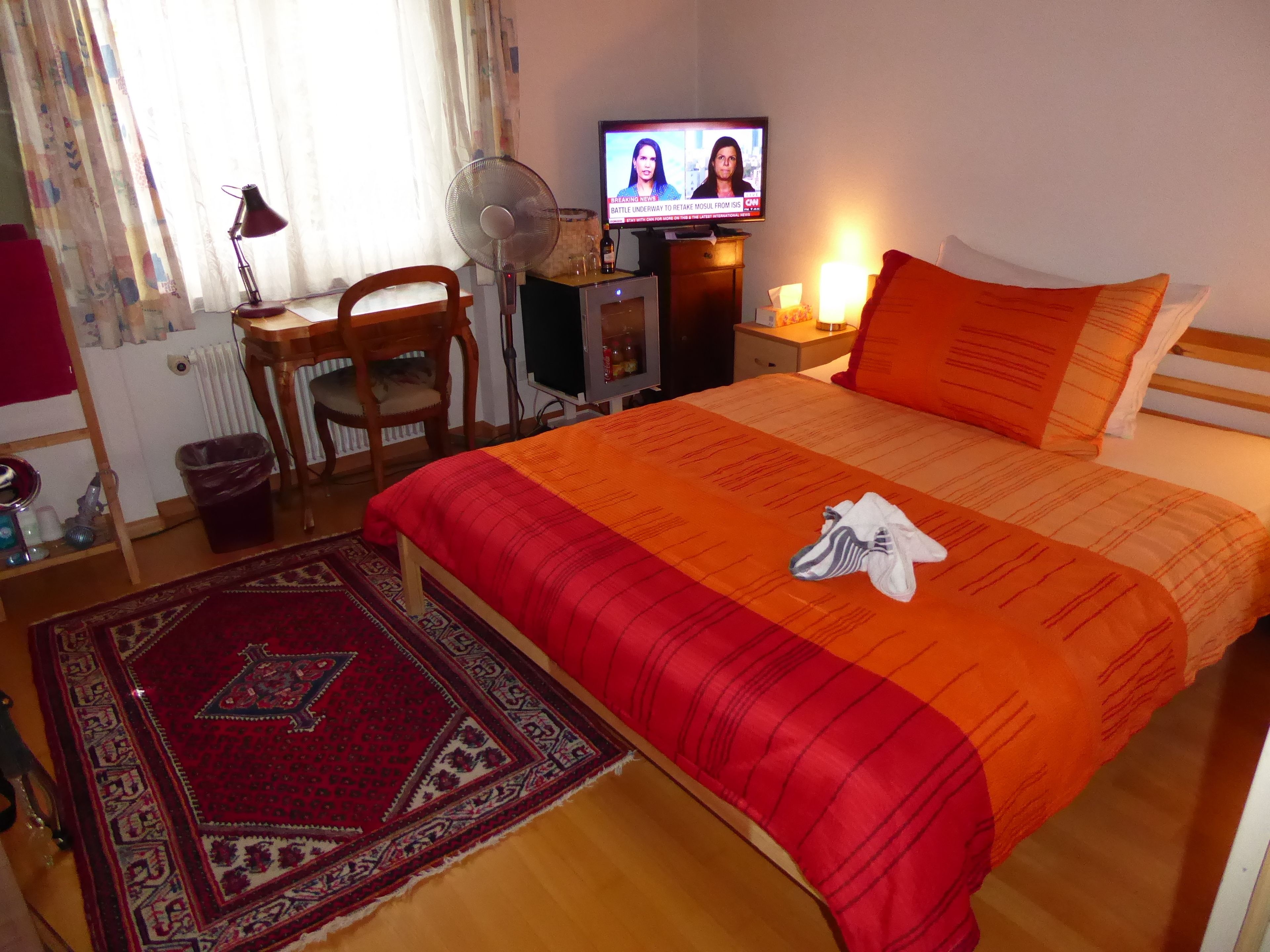 A hotel room with a bed, a TV, a desk, a chair, a fan, and a rug.
