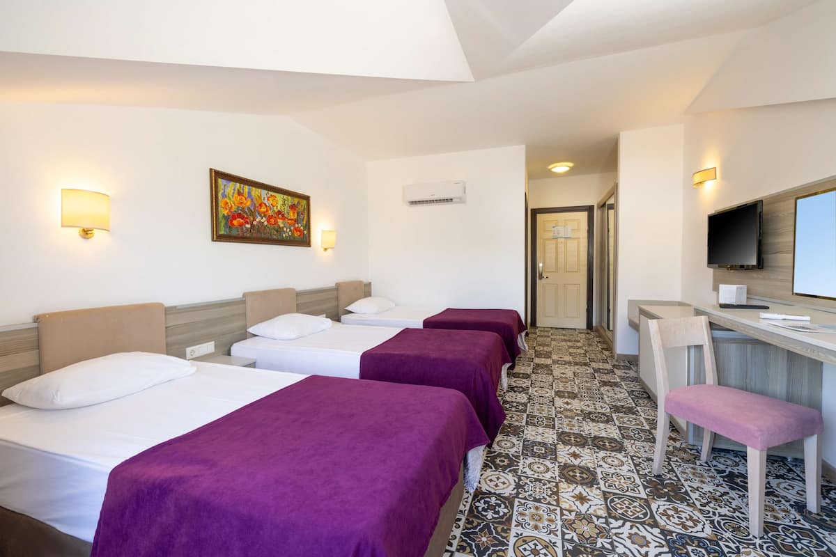 Premium bedding, free minibar, in-room safe, desk