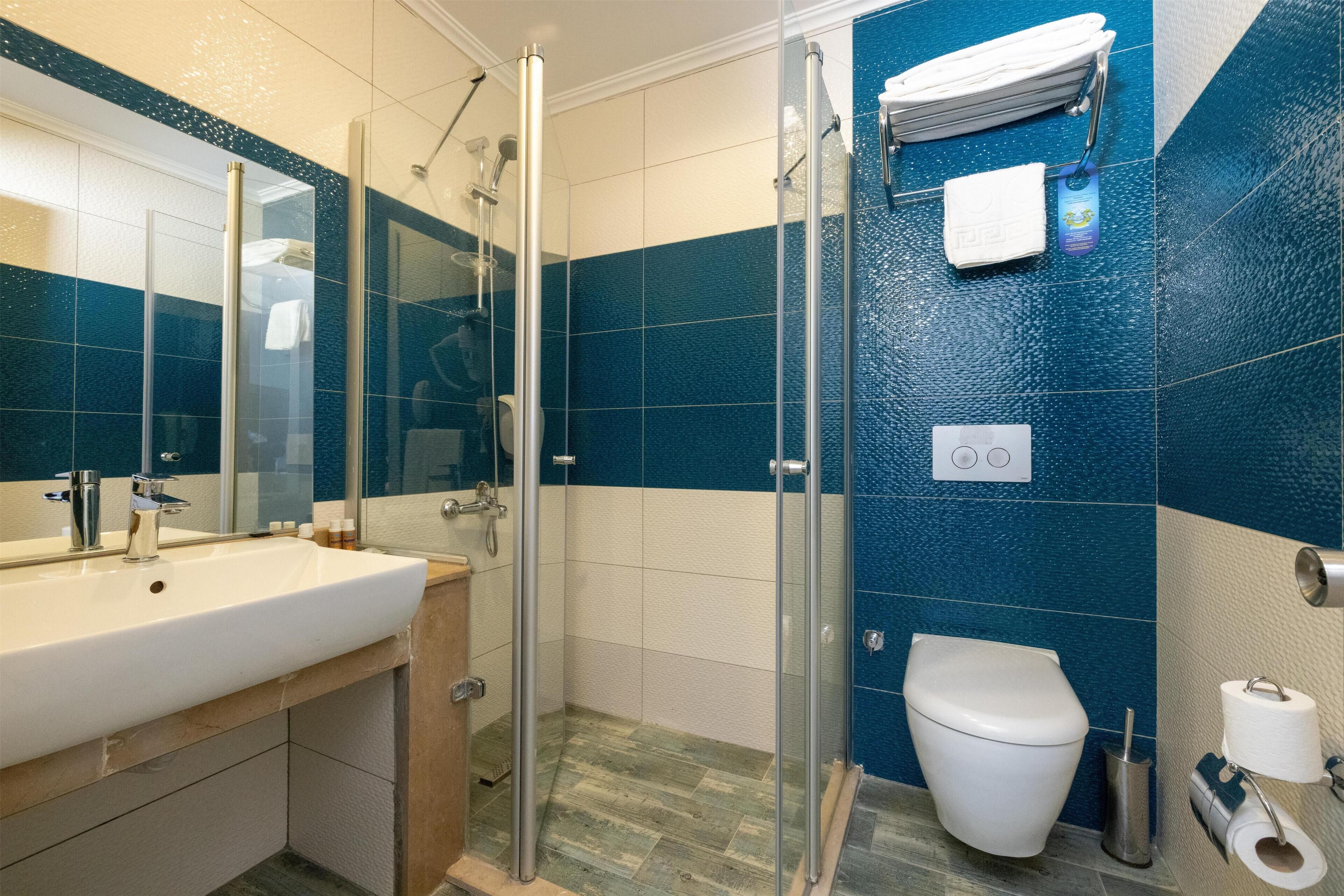 A modern bathroom with a glass shower enclosure, a white sink, and a toilet.