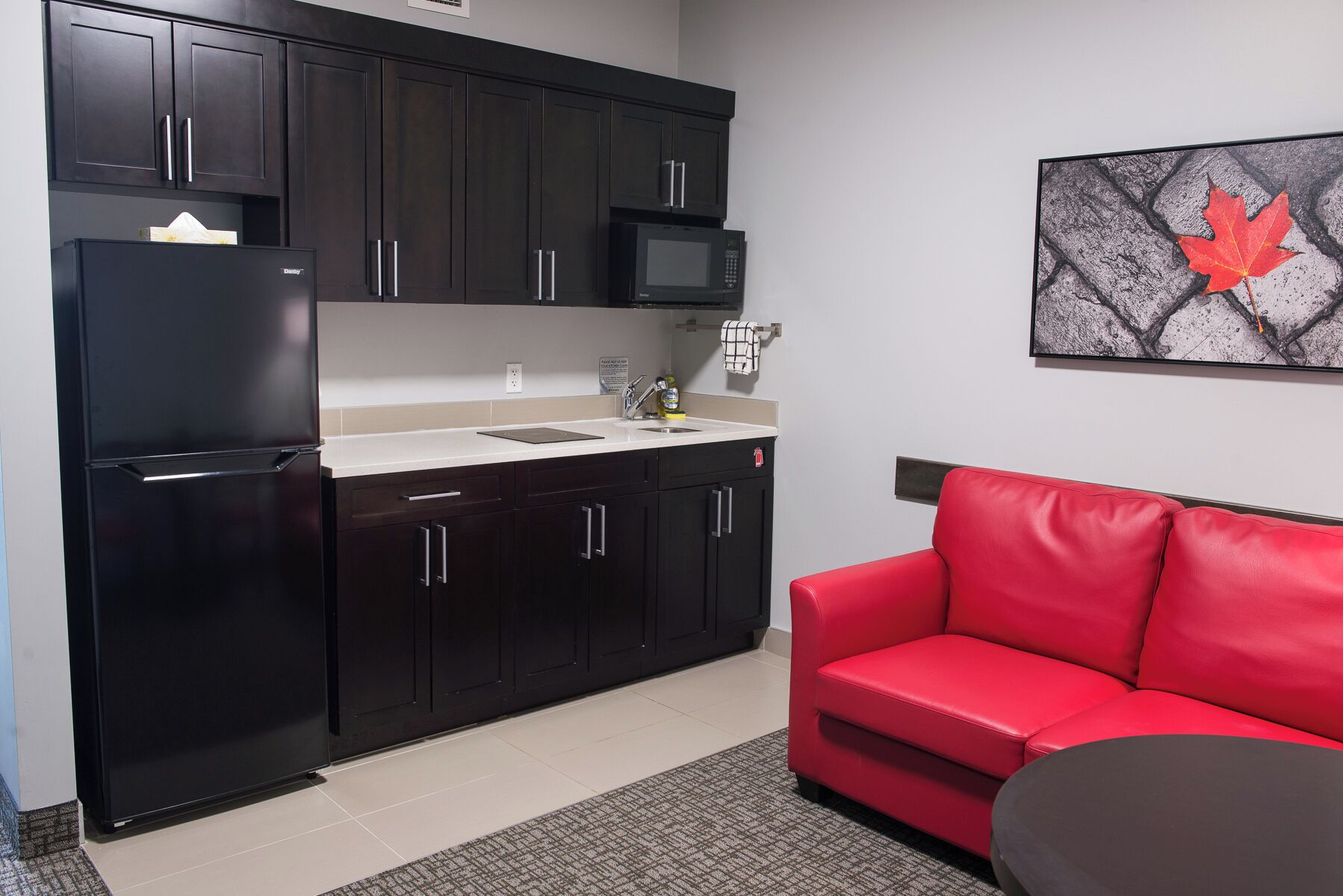 Fridge, microwave, coffee/tea maker