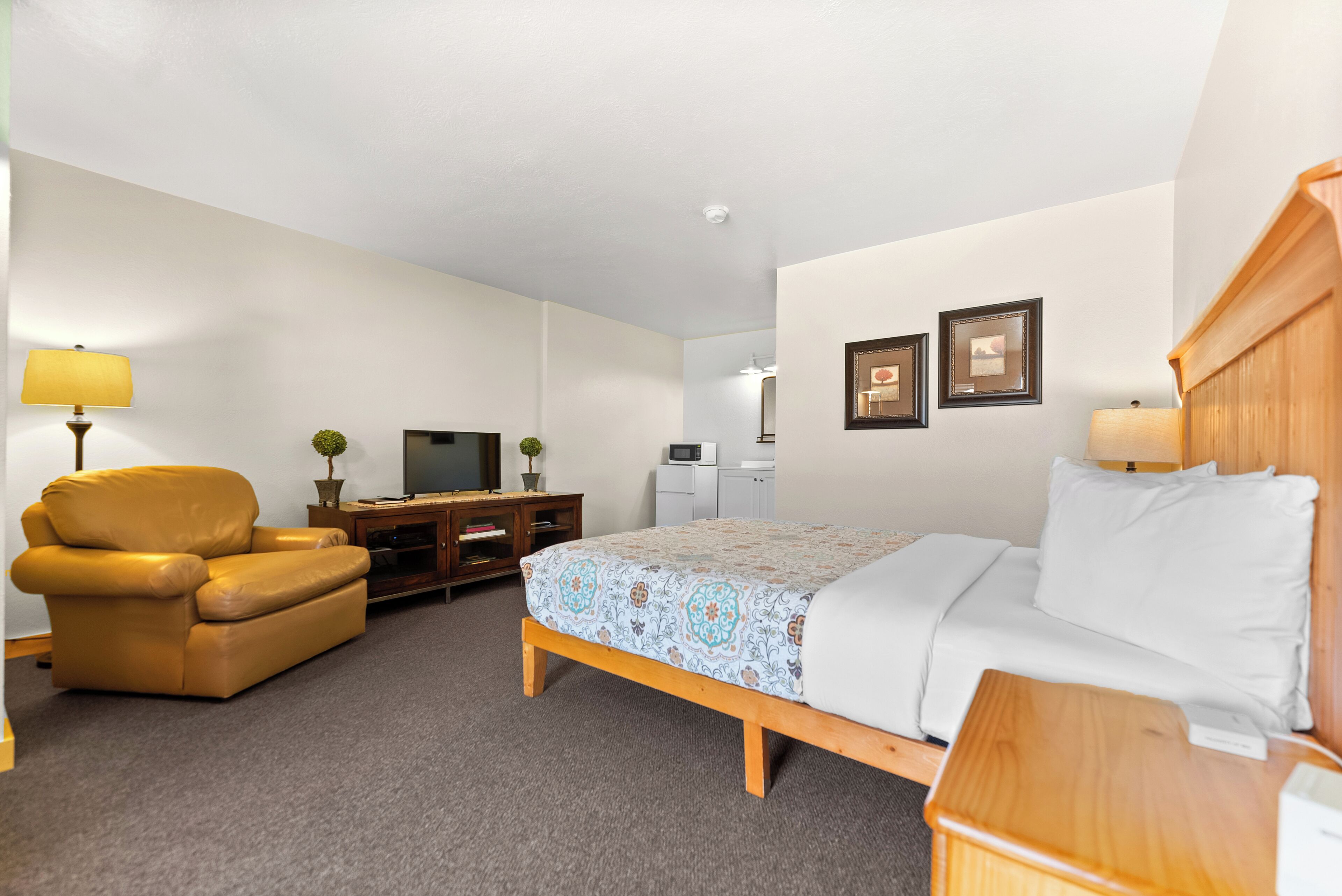 A hotel room with a bed, a sofa, a TV, a desk, and a lamp.